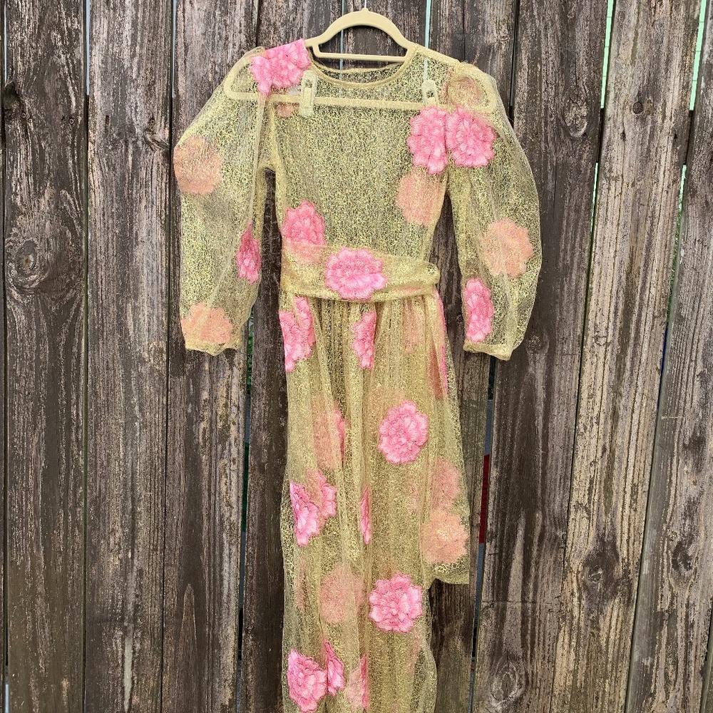 Tach Clothing sheer gold dress with embroidered floral / size 0